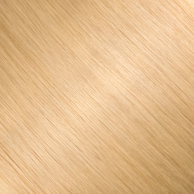 Straight / HL-17 - Bardot