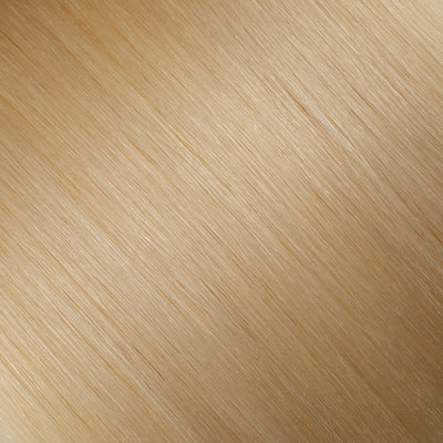 Straight / HL-14 - Goldie