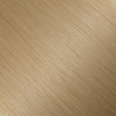 Straight / HL-19 - Champagne
