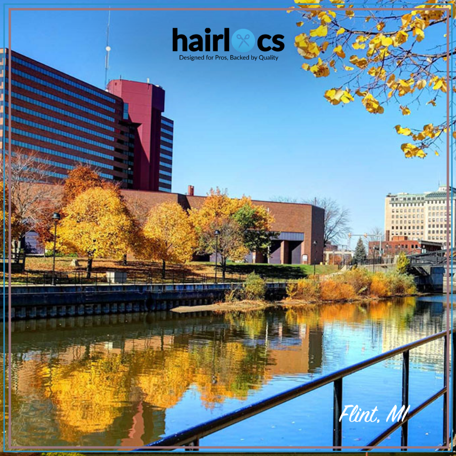 HLFlint_MI_b4a6e8ad-8ebf-4b64-b493-3e0c0cc88905.png