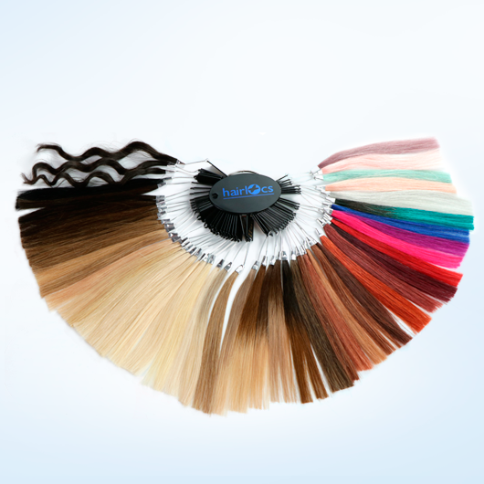 A comprehensive and organized swatch collection featuring a wide range of colors and textures for various design projects